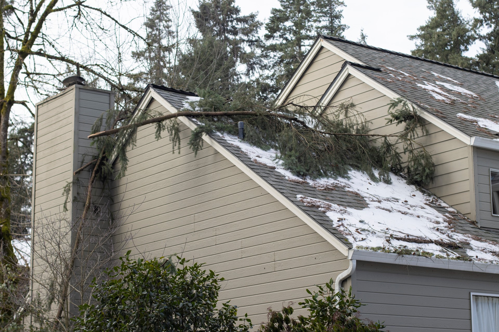 Fallen Tree Branches on the Roof