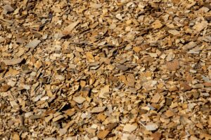 Read more about the article Forestry Mulching and 3 Reasons for Why You Should Do It.