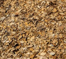 Forestry Mulching and 3 Reasons for Why You Should Do It.