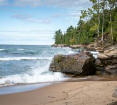 Spring Awakening: A Homeowner’s Guide to the First Day of Spring