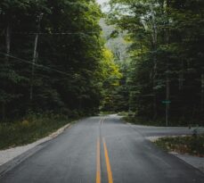 The 2026 Northern Michigan Tree Care Guide: Expert Tips for Traverse City & Petoskey Homeowners